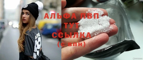 ПСИЛОЦИБИНОВЫЕ ГРИБЫ Абаза