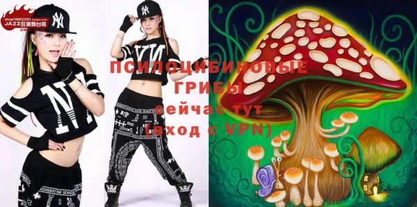 ECSTASY Михайлов