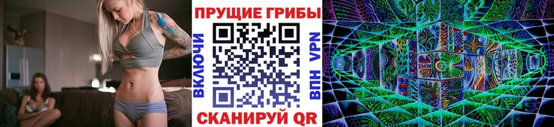 Галлюциногенные грибы Psilocybine cubensis mega tor Вологда