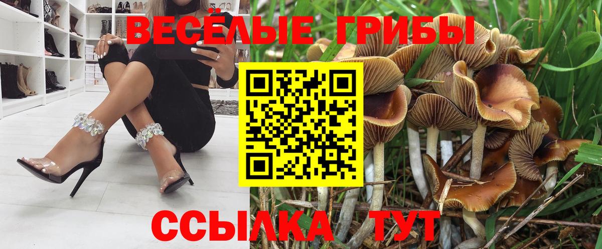 Псилоцибиновые грибы Cubensis Вологда