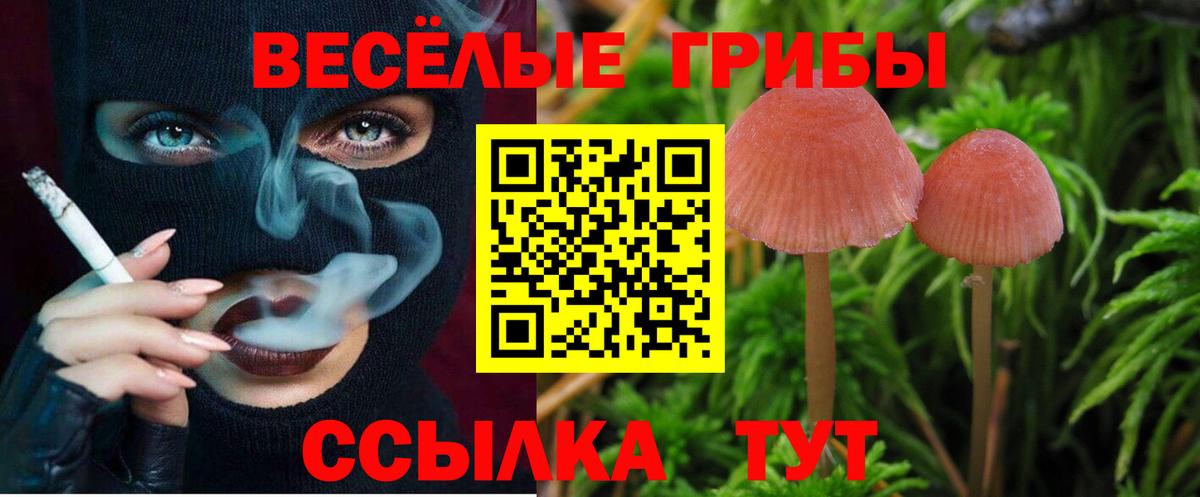 Вологда  Псилоцибиновые грибы Magic Shrooms  Вход с VPN  Псилоцибиновые грибы мицелий 